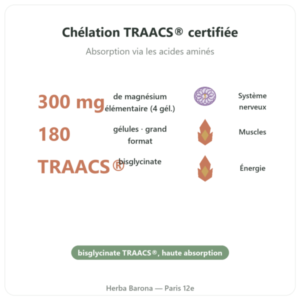 Magnesium bisglycinate TRAACS® – 800mg – 180 gélules Dynveo bienfaits et chiffres Paris Herba Barona
