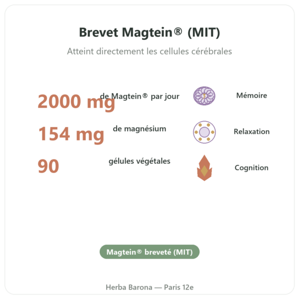 Magnésium L-thréonate : Magtein® DYNVEO 90 gélules bienfaits et chiffres Paris Herba Barona