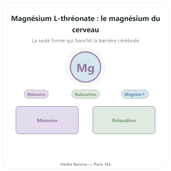 Magnésium L-thréonate : Magtein® DYNVEO 90 gélules presentation Paris Herba Barona