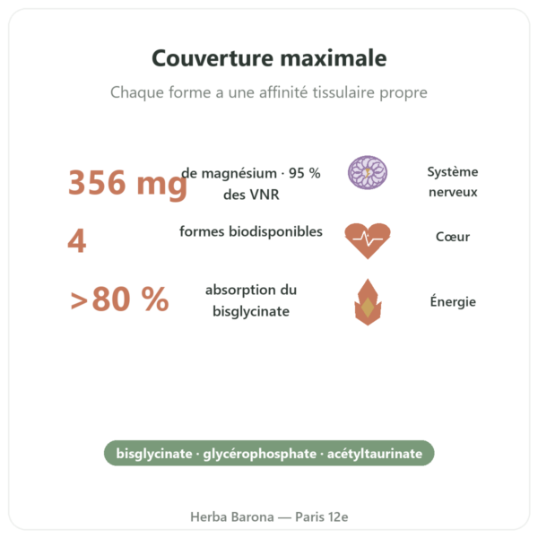 Magnésium Quatro 900 – 90 gélules – Be-Life bienfaits et chiffres Paris Herba Barona
