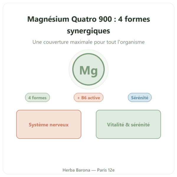 Magnesium Quatro 900 – Be-Life – 60 gélules presentation Paris Herba Barona