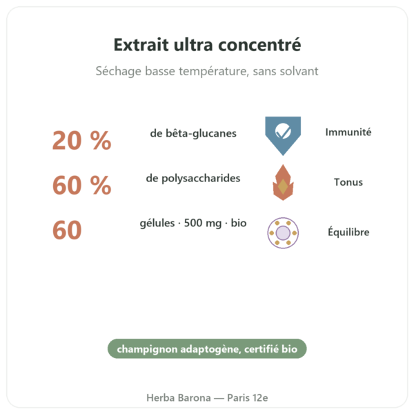 Maitake bio – Dynveo- 20% bêta-glucanes – 500mg – 60 gélules bienfaits et chiffres Paris Herba Barona