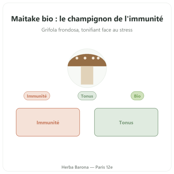 Maitake bio – Dynveo- 20% bêta-glucanes – 500mg – 60 gélules presentation Paris Herba Barona