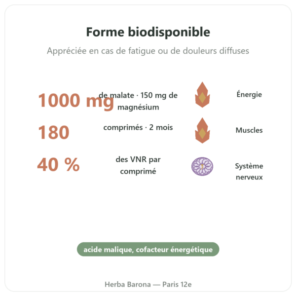 Malate de Magnésium 1000 mg – Now Foods – 180 comprimés bienfaits et chiffres Paris Herba Barona