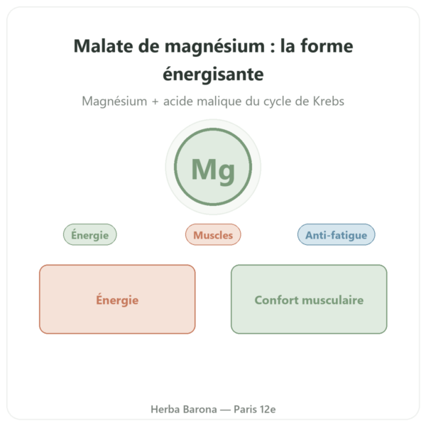 Malate de Magnésium 1000 mg – Now Foods – 180 comprimés presentation Paris Herba Barona