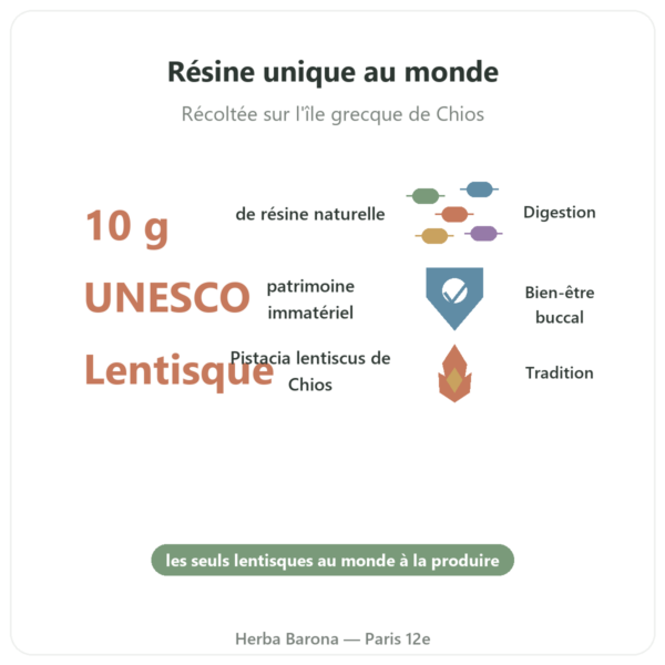 Mastic De l'île de Chios 10 g bienfaits et chiffres Paris Herba Barona