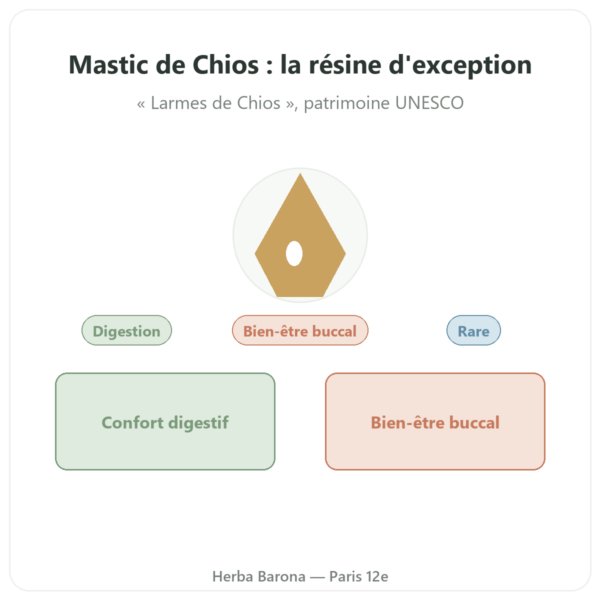 Mastic De l'île de Chios 10 g presentation Paris Herba Barona