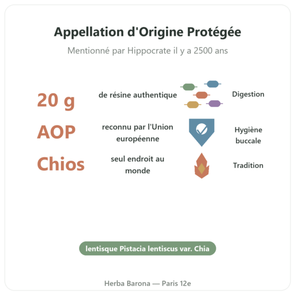 Mastic De l'île de Chios – 20g bienfaits et chiffres Paris Herba Barona