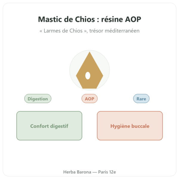 Mastic De l'île de Chios – 20g presentation Paris Herba Barona