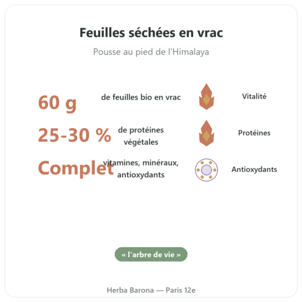 Moringa bio en feuille 60 g bienfaits et chiffres Paris Herba Barona