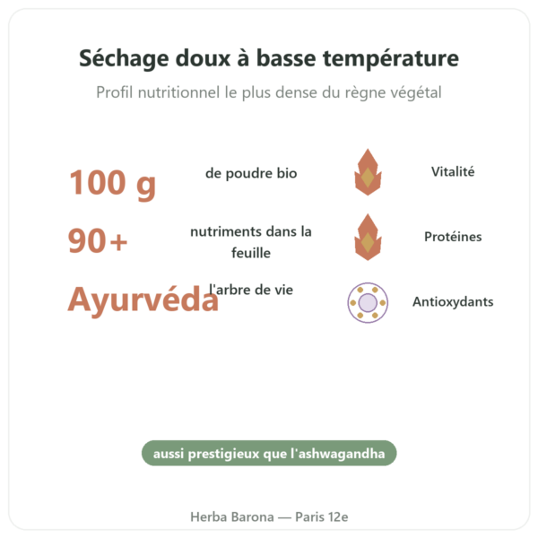 Moringa Bio poudre 100 g – Bioptimal – Superaliment bienfaits et chiffres Paris Herba Barona