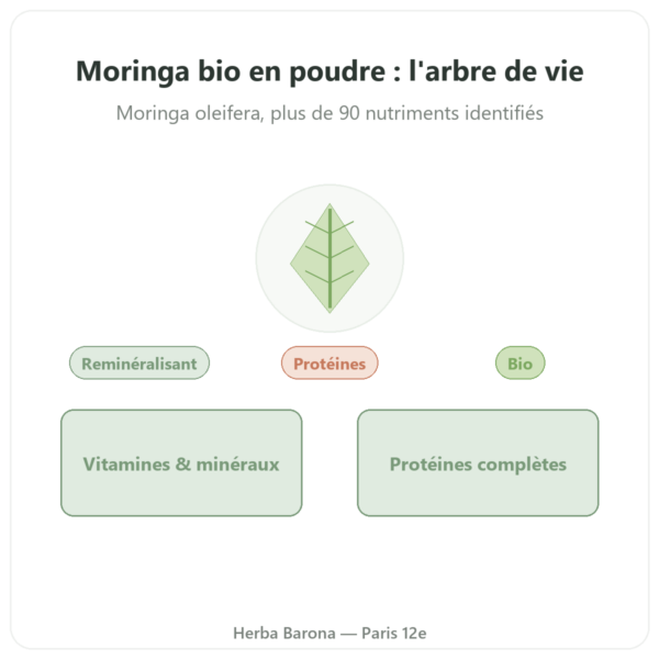 Moringa Bio poudre 100 g – Bioptimal – Superaliment presentation Paris Herba Barona