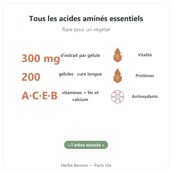 Moringa concentré 300 mg – 200 gélules bienfaits et chiffres Paris Herba Barona