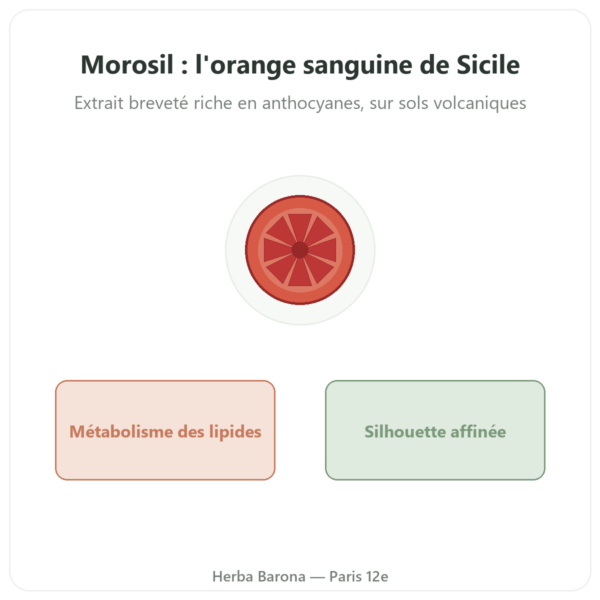 Morosil – Novoma presentation Paris Herba Barona