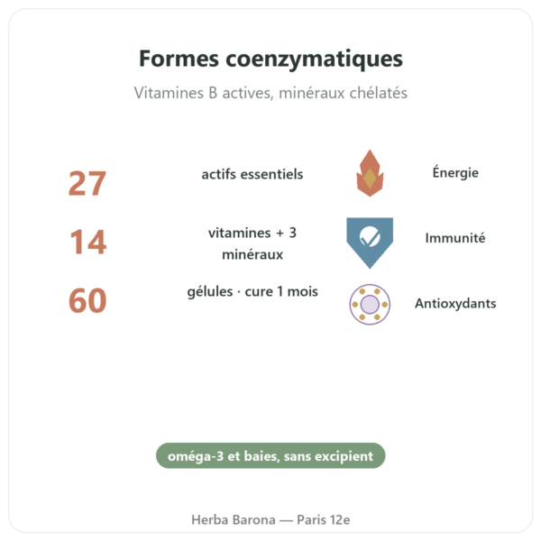 Multivitamines Multi 27 – Dynveo – 60 Gél. bienfaits et chiffres Paris Herba Barona