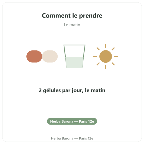 Multivitamines Multi 27 – Dynveo – 60 Gél. mode emploi conseil de prise Paris Herba Barona