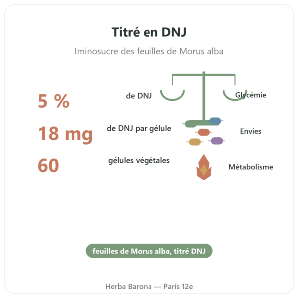 Murier Blanc – titré à 5% en DNJ – 60 gélules – DYNVEO bienfaits et chiffres Paris Herba Barona
