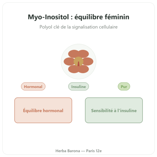 Myo-Inositol – Dynveo – 150 gélules presentation Paris Herba Barona