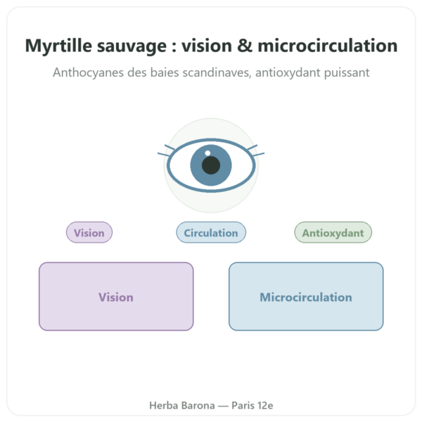 Myrtille sauvage extrait – Dynveo – 60 gélules presentation Paris Herba Barona