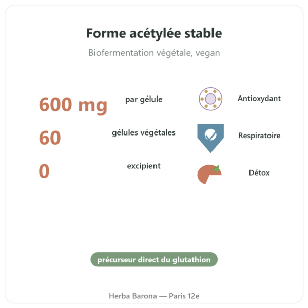 N-Acétyl-Cystéine NAC – Dynveo – 600mg – 60 gélules bienfaits et chiffres Paris Herba Barona