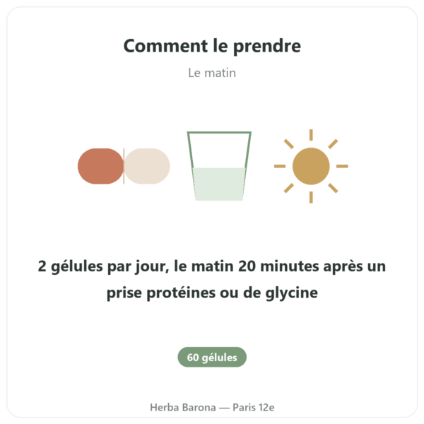 N-Acétyl-Cystéine NAC – Dynveo – 600mg – 60 gélules mode emploi conseil de prise Paris Herba Barona