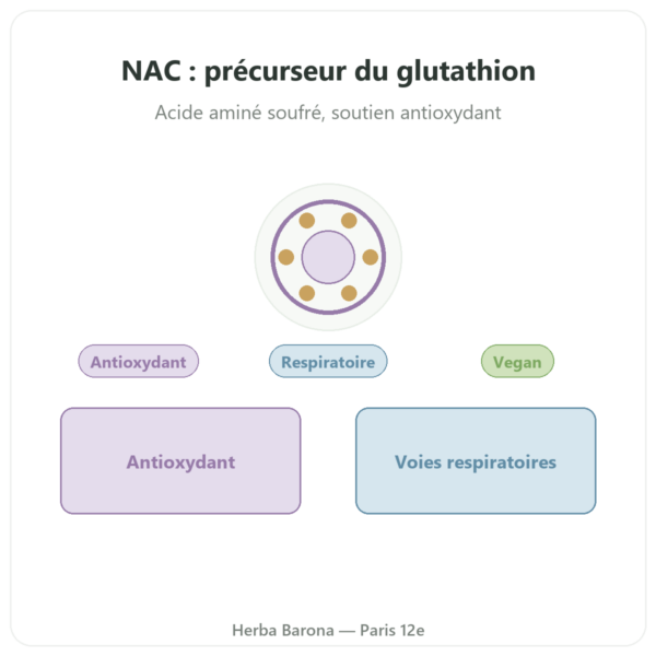 N-Acétyl-Cystéine NAC – Dynveo – 600mg – 60 gélules presentation Paris Herba Barona