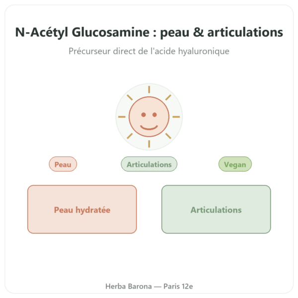 N-Acétyl Glucosamine (NAG) 500mg – 60 gélules – Dynveo presentation Paris Herba Barona