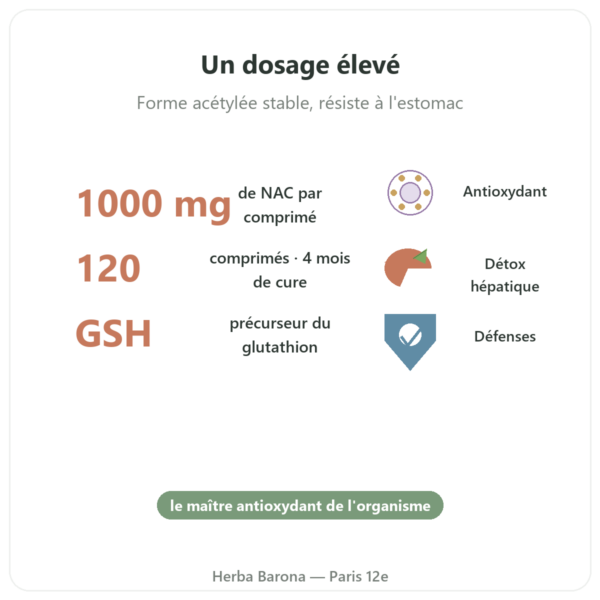 NAC (N-acétylcystéine) 1000 mg -120 tablets – Now Foods bienfaits et chiffres Paris Herba Barona