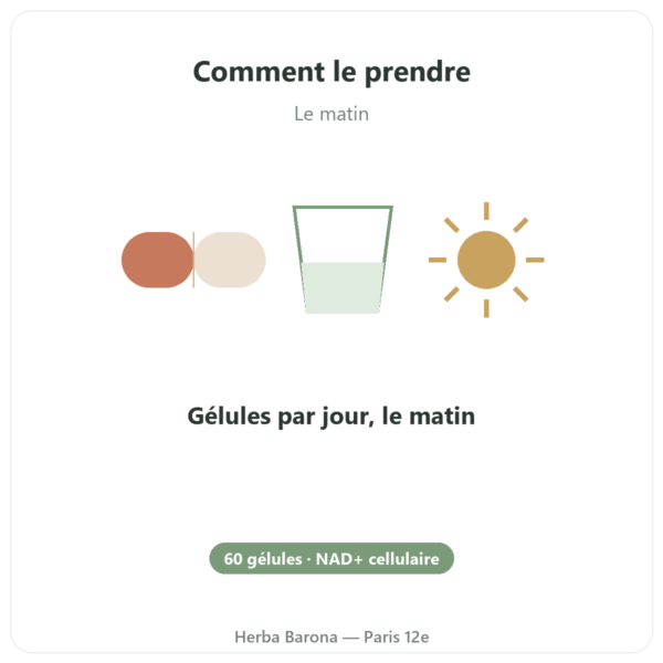 NAD+ – SIHO – Énergie Cellulaire & Longévité – 60 gélules mode emploi conseil de prise Paris Herba Barona