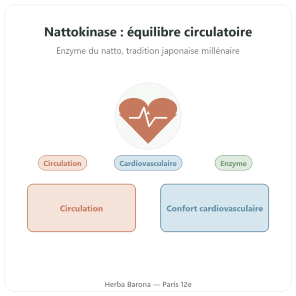 Nattokinase Dynveo 100 mg 60 Gél. presentation Paris Herba Barona