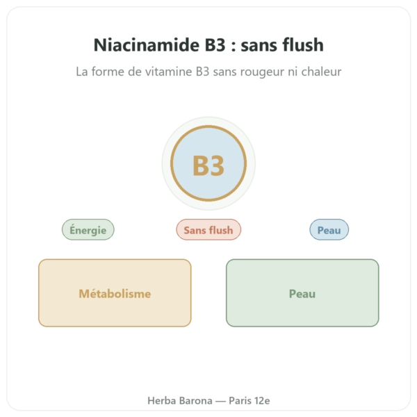 Niacinamide B3 – 100 Caps. Now Foods presentation Paris Herba Barona