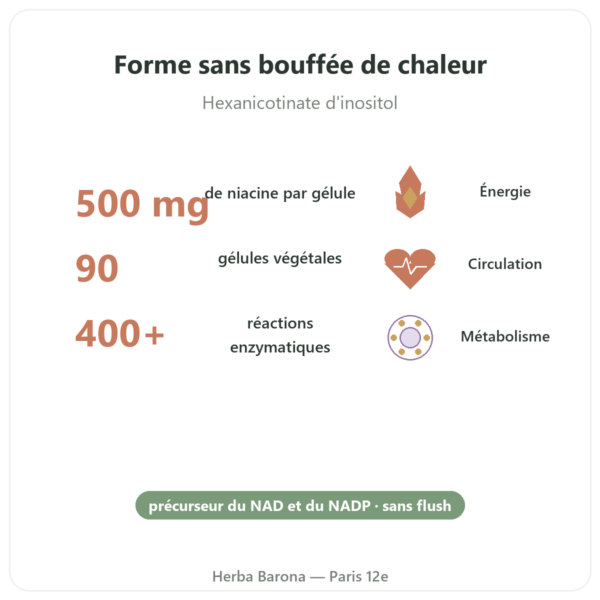 Niacine B3 Flush Free – sans rougeur – 90 veg Caps. Now Foods bienfaits et chiffres Paris Herba Barona