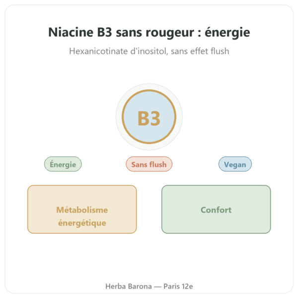 Niacine B3 Flush Free – sans rougeur – 90 veg Caps. Now Foods presentation Paris Herba Barona