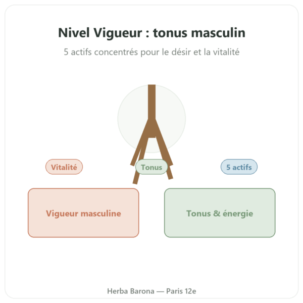 Nivel Vigueur – 40 gélules – Api-nature presentation Paris Herba Barona