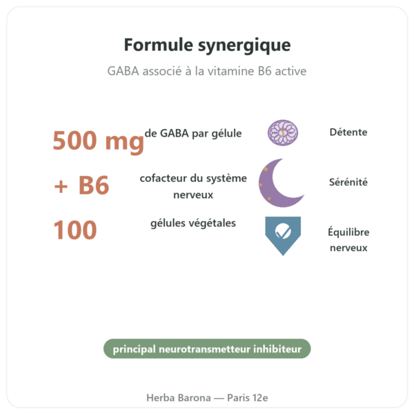 NOW Foods GABA 500mg + Vitamine B-6 – 100 gélules végétales bienfaits et chiffres Paris Herba Barona