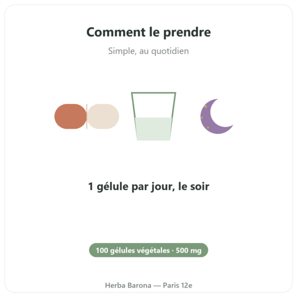 NOW Foods GABA 500mg + Vitamine B-6 – 100 gélules végétales mode emploi conseil de prise Paris Herba Barona