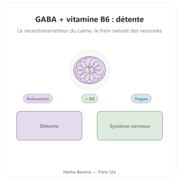 NOW Foods GABA 500mg + Vitamine B-6 – 100 gélules végétales presentation Paris Herba Barona