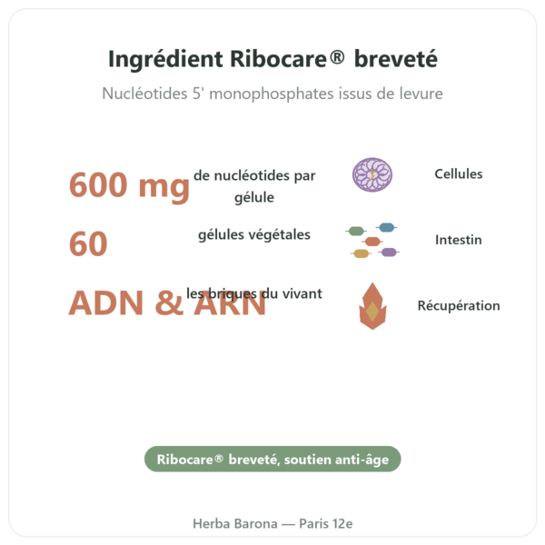 Nucléotides Ribocare® 600 mg – Dynveo – 60 gélules bienfaits et chiffres Paris Herba Barona