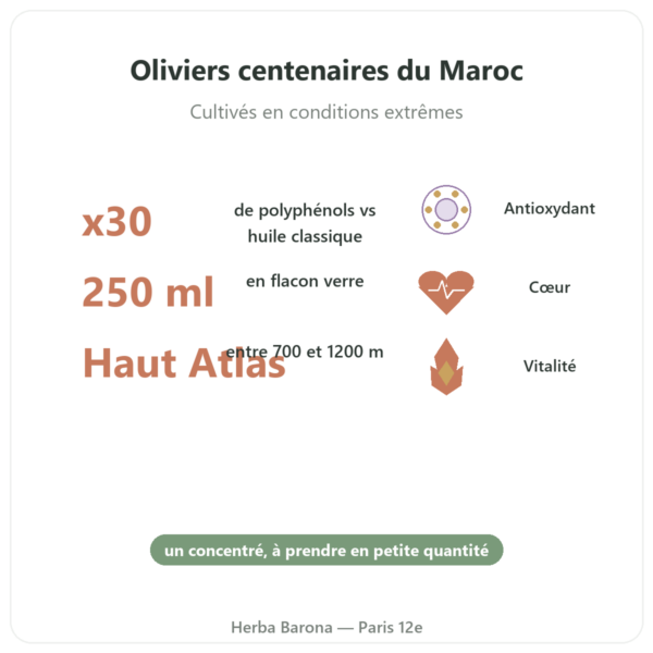 Olivie Plus 30x huile pur verre de 250 ml – flacon verre bienfaits et chiffres Paris Herba Barona