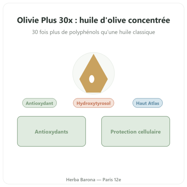 Olivie Plus 30x huile pur verre de 250 ml – flacon verre presentation Paris Herba Barona