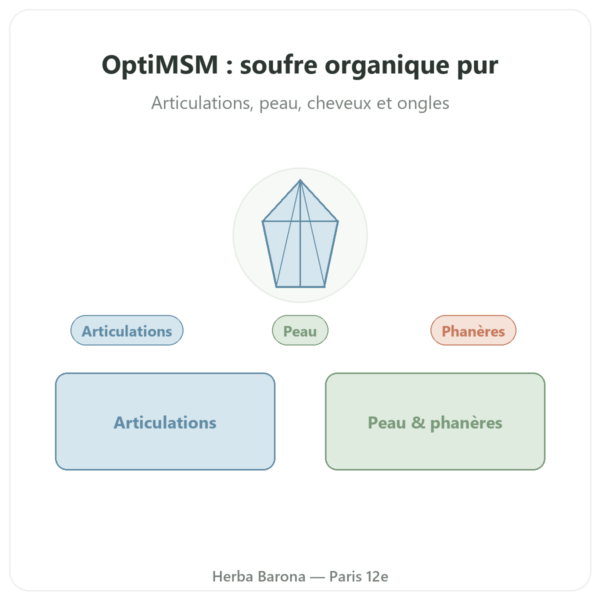 OptiMSM® – 750mg / 180 gélules – Dynveo presentation Paris Herba Barona