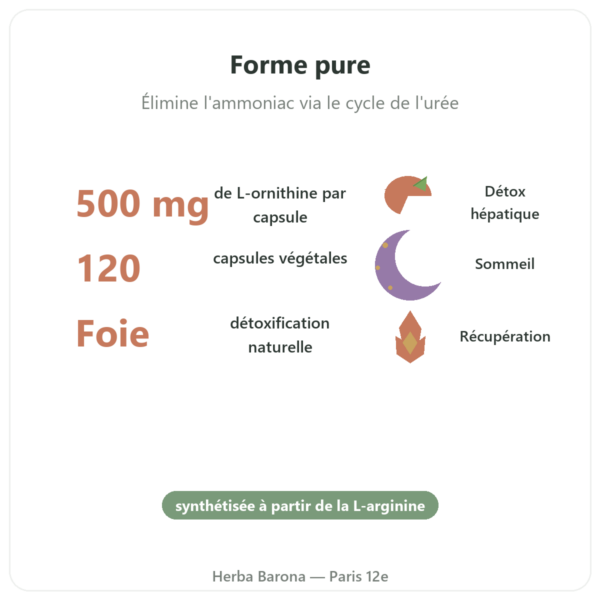 Ornithine 500 mg – 120 caps. – Now Foods bienfaits et chiffres Paris Herba Barona