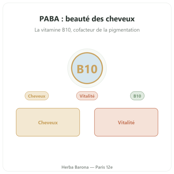 Paba 500 – 60 Gél. Dynveo presentation Paris Herba Barona