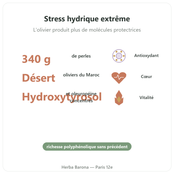 Perles d'Oliviers du Désert NaturaMedicatrix 340g bienfaits et chiffres Paris Herba Barona
