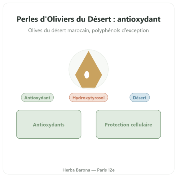 Perles d'Oliviers du Désert NaturaMedicatrix 340g presentation Paris Herba Barona