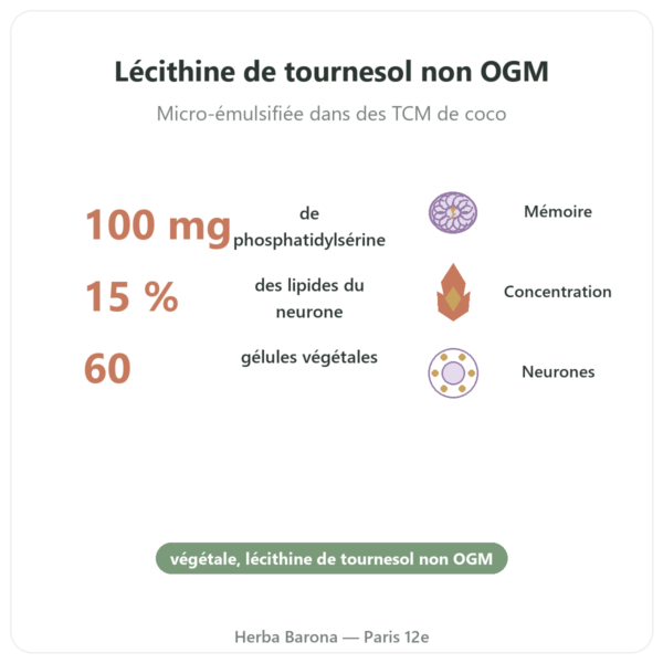 Phosphatidylsérine végétale – Dynveo – 100 mg – 60 gélules bienfaits et chiffres Paris Herba Barona