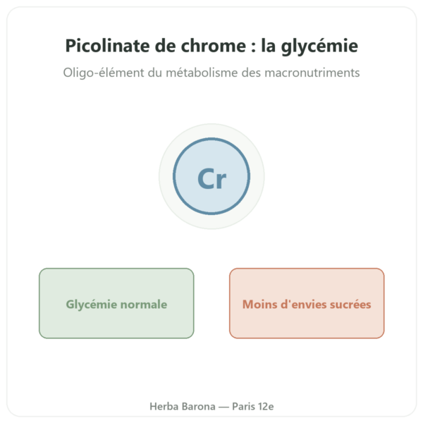 Picolinate de Chrome 200ug Novoma 120 gélules presentation Paris Herba Barona