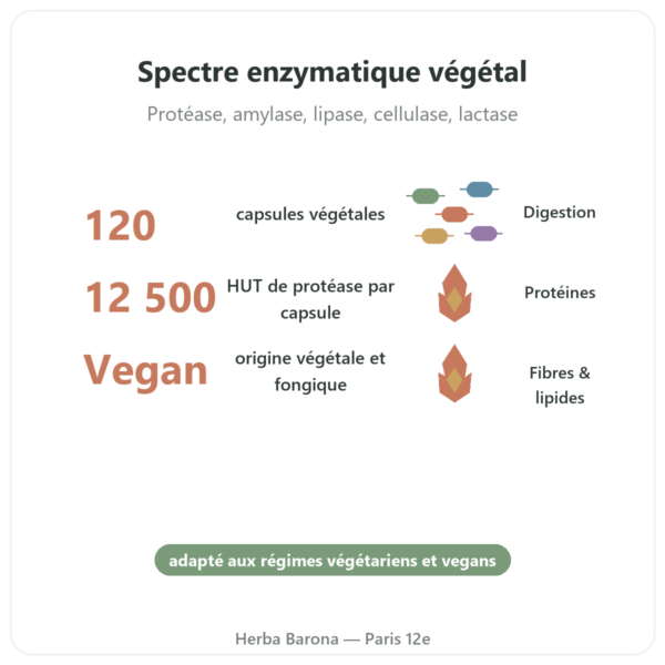 Plant Enzymes 120 Caps Now Foods – Enzymes digestives végétales bienfaits et chiffres Paris Herba Barona