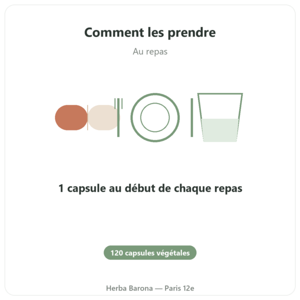 Plant Enzymes 120 Caps Now Foods – Enzymes digestives végétales mode emploi conseil de prise Paris Herba Barona