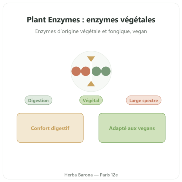 Plant Enzymes 120 Caps Now Foods – Enzymes digestives végétales presentation Paris Herba Barona